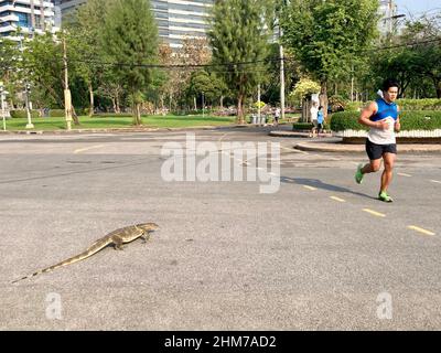 Bangkok, Tailandia. 05th Feb 2022. Un monitor a bande attraversa un percorso nel Parco Lumphini di Bangkok mentre un pareggiatore corre. Il fatto che ci siano centinaia di lucertole giganti e dall'aspetto primordiale nel parco non sembra impressionare a lungo nessuno. (To dpa-KORR 'Thailand kurios: Kabelsalat, Fanta am Baum und Füße weg vom Buddha') Credit: Carola Frentzen/dpa/Alamy Live News Foto Stock