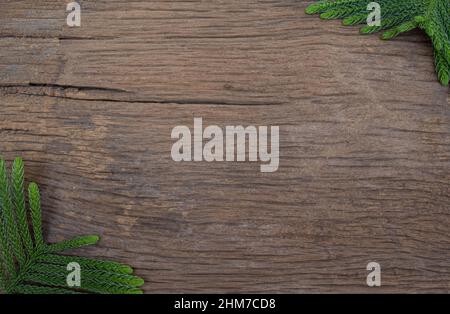 Cornice a foglia verde su sfondo di texture di legno vecchio. Con spazio per il testo. Vista dall'alto. Foto Stock