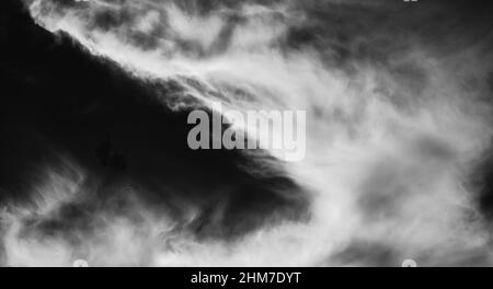 Esplosione per impatto di una nuvola di particelle di polvere di colore bianco su sfondo nero. Foto Stock