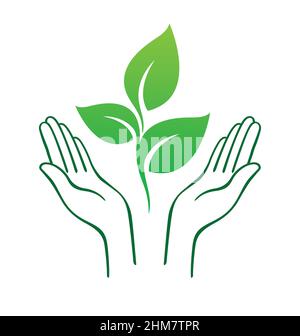 semplice apertura delle mani profilo di supporto culling nutrimento di giovani piante di piantina verde con 3 foglie vettore isolato su sfondo bianco Illustrazione Vettoriale