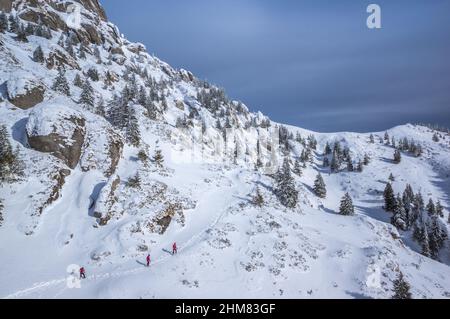 Montagne CIUCAS in inverno, Carpazi rumeni. Abeti e ginepri pieni di neve ghiacciata. Ci sono escursionisti nell'immagine. Foto Stock