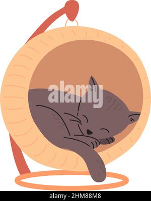 Un carino gattino grigio bugie e naps in casa. Un piccolo gatto dorme in un letto sospeso. Gattino giovane e rilassato si arricciò. Illustrazione vettoriale piatta di un animale isolato su sfondo bianco Illustrazione Vettoriale