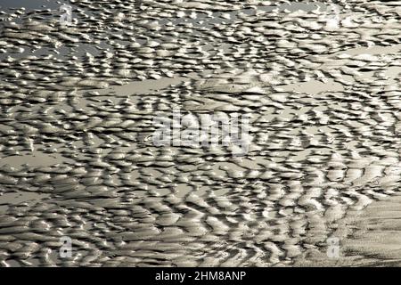L'azione ondulata della marea in ritirata ha creato increspature in una spiaggia sabbiosa. Questo dà loro l'aspetto di dune di sabbia in miniatura Foto Stock