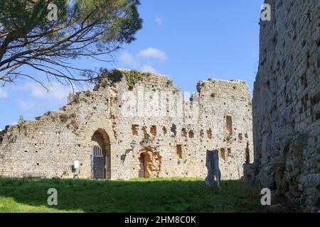 Scorcio di Civitella in Val di Chiana, Castello, Toscana, Italia, Europa Foto Stock