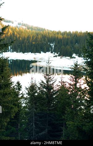 il Lago nel Bosco Foto Stock