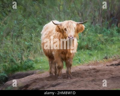 Pittura digitale di una bella mucca scozzese delle Highland in un ambiente naturale di campagna. Foto Stock