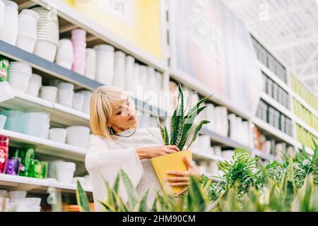 Giardinaggio, piantando e concetto di shopping. Bella donna matura adulto che sceglie le piante domestiche ed i vasi in serra o nel centro del giardino. Acquisti senior Foto Stock