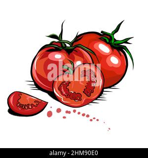 Pomodori rossi freschi succosi interi e tagliati a fette. Disegno a mano con stile realistico. Illustrazione vettoriale. Illustrazione Vettoriale