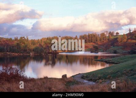 Vista autunnale di Tarn Hows nel Lake District Cumbria Foto Stock