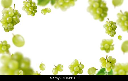Fondo con uva e foglie. Le uve verdi volano su sfondo verde. Illustrazione vettoriale realistica. Illustrazione Vettoriale