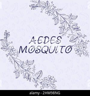 Didascalia di testo che presenta Aedes Mosquito. Parola scritta sulla febbre gialla zanzara che può diffondere la febbre dengue bianco cornice decorata con Abstract Foto Stock