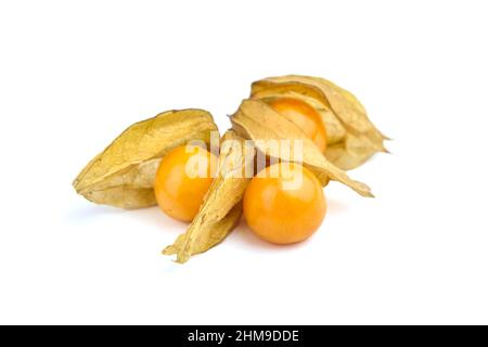 Physalis peruviana (ciliegie di terra, uva spina di Capo, pomodori di buccia, bacche di Inca, bacche di poha) isolato su uno sfondo bianco Foto Stock