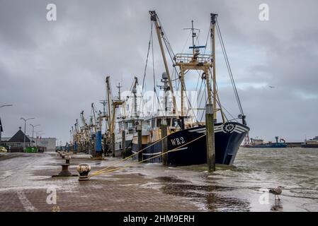 Den Oever, Paesi Bassi. Gennaio 2022. Alta marea nel porto di Den Oever, Paesi Bassi. Foto di alta qualità Foto Stock