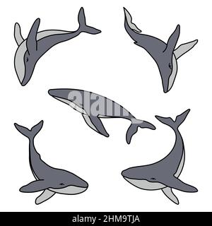Set di cinque megattere minimalista semplice colore grafica vettoriale logo. Balene colorate isolate disegnate su sfondo bianco Illustrazione Vettoriale