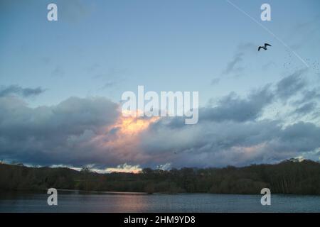 Lago artificiale di bough Faggio vicino Edenbridge nel kent in inverno Foto Stock