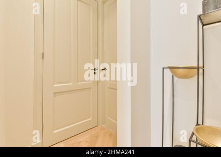 Lungo corridoio vuoto con varie porte di stanza bianca chiusa e decorazioni creative su stand collocato in appartamento luminoso a casa Foto Stock