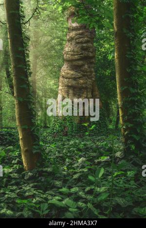 Da sotto di alto albero con tronco spesso coperto di foglie e vegetazione lussureggiante che cresce nella foresta il giorno d'estate Foto Stock