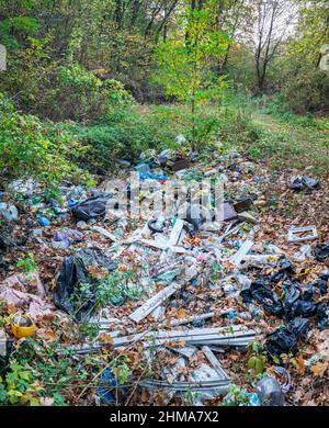 Mucchi di rifiuti nella foresta. Problemi di protezione ambientale background. Foreste libere! Foto Stock