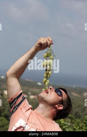 L'uomo tiene la vite nella vigna, Creta Foto Stock