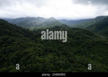 Vista aerea della foresta pluviale tropicale al Parco Nazionale di Santa Fe, Panama Foto Stock