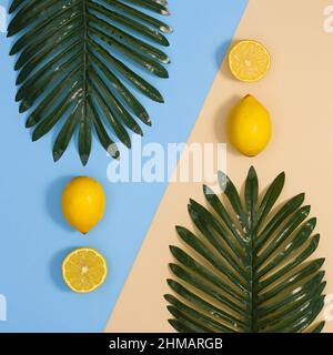 Composizione estiva con foglie di palma verdi e limoni gialli freschi su sfondo blu chiaro e beige pastello. Minimo piatto tropicale Foto Stock
