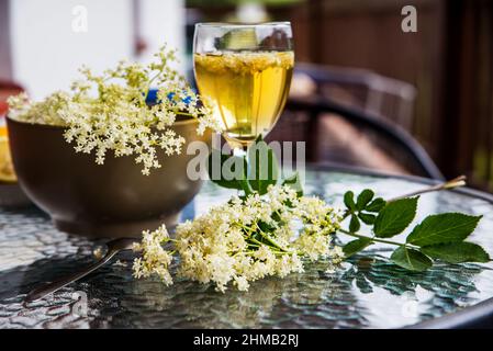 Preparazione di una bevanda sana di sambuco e sciroppo. Ramoscello con fiore di sambuco in fiore, bicchiere con sambuco bevanda sul tavolo. Foto Stock