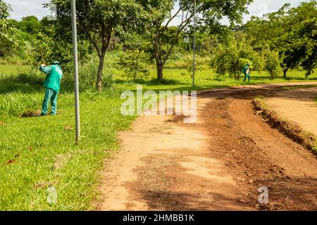 Goiânia, Goias, Brasile – 18 gennaio 2022: Un professionista del municipio che fa la manutenzione del prato in un parco pubblico. Foto Stock