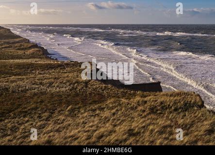 Agger, Danimarca. 02nd Feb 2022. Vista sul paesaggio delle dune nel tuo Parco Nazionale sulla costa del Mare del Nord. Sulla costa occidentale dello Jutland, tra il faro di Hanstholm e l'Agger Tange, è il primo e più grande parco nazionale della Danimarca con un totale di 244 chilometri quadrati di natura incontaminata e magnifica. Credit: Patrick Pleul/dpa-Zentralbild/ZB/dpa/Alamy Live News Foto Stock