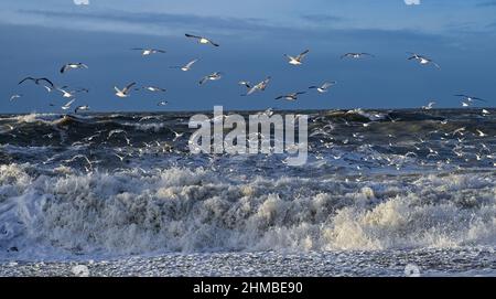 Agger, Danimarca. 02nd Feb 2022. Surf tempestoso del Mare del Nord al Thy National Park sulla costa occidentale della Danimarca. Credit: Patrick Pleul/dpa-Zentralbild/ZB/dpa/Alamy Live News Foto Stock