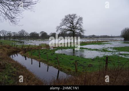 08 febbraio 2022, Schleswig-Holstein, Groß Offenseth-Aspern: Vista di un prato allagato. La pioggia continua ha trasformato numerosi campi e prati in piccoli lagune. Foto: Marcus Brandt/dpa Foto Stock