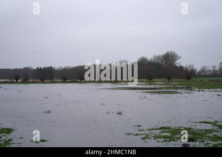 08 febbraio 2022, Schleswig-Holstein, Groß Offenseth-Aspern: Gli alberi si erigono nei prati allagati. La pioggia continua ha trasformato numerosi campi e prati in piccoli lagune. Foto: Marcus Brandt/dpa Foto Stock