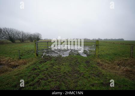 Bergenhusen, Germania. 03rd Feb 2022. Un prato allagato. La pioggia continua ha trasformato numerosi campi e prati in piccoli paesaggi lacustri. Credit: Marcus Brandt/dpa/Alamy Live News Foto Stock