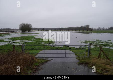 08 febbraio 2022, Schleswig-Holstein, Groß Offenseth-Aspern: Gli alberi si erigono nei prati allagati. La pioggia continua ha trasformato numerosi campi e prati in piccoli lagune. Foto: Marcus Brandt/dpa Foto Stock