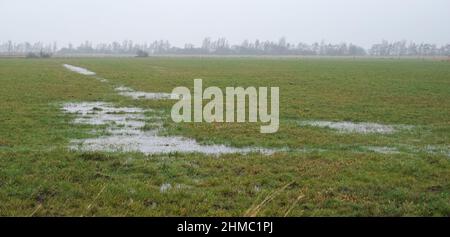 Berghusen, Germania. 03rd Feb 2022. Un prato allagato. La pioggia continua ha trasformato numerosi campi e prati in piccoli paesaggi lacustri. Credit: Marcus Brandt/dpa/Alamy Live News Foto Stock