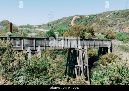 Ponte di legno nel mezzo di una splendida foresta Foto Stock