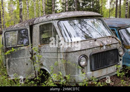 Vecchie auto arrugginite in una foresta Foto Stock