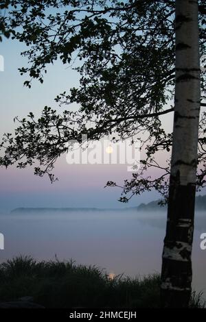 Luna piena sul lago di nebbia nella notte d'estate Foto Stock