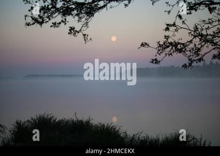 Luna piena sul lago di nebbia nella notte d'estate Foto Stock