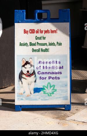 Un cartello all'esterno di un negozio di animali domestici che sostiene l'uso di Medical Marijuana per gli animali domestici. Ad Astoria, regine, New York City. Foto Stock