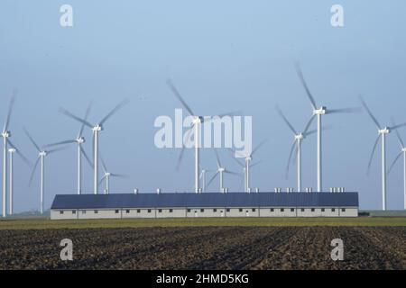 PRODUZIONE - 07 Febbraio 2022, Schleswig-Holstein, Reußenköge: Turbine eoliche si trovano accanto ad un salone con impianti fotovoltaici sul tetto. Foto: Marcus Brandt/dpa Foto Stock