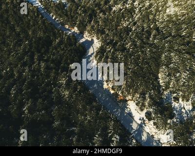 Vista dall'alto di una strada curva e nevosa tra i pini. Foto Stock