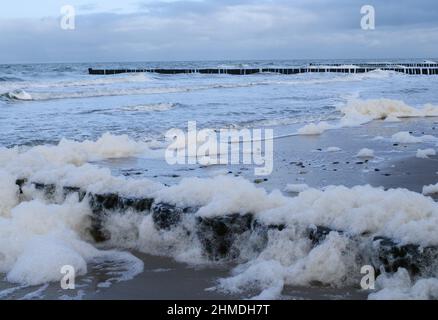 06 febbraio 2022, Meclemburgo-Pomerania occidentale, Prerow: 06.02.2022, Wustrow sul Darß. La schiuma si accumula in una giornata di tempesta sulla spiaggia del Mar Baltico a Wustrow. La schiuma è considerata atossica e innocua per l'uomo - è costituita da resti di alghe e piccole bolle d'aria. Foto: Wolfram Steinberg/dpa Foto: Wolfram Steinberg/dpa Foto Stock