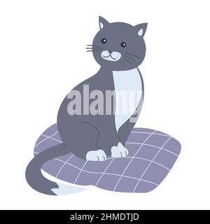 Cartone animato carino gatto grigio su un cuscino. Animale domestico. Illustrazione isolata dal vettore Illustrazione Vettoriale