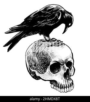 Corvo seduto su un cranio umano. Disegno in bianco e nero con inchiostro Foto Stock