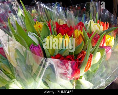 Bouquet avvolti di tulipani in vari colori in vendita al mercato dei fiori in primavera. Foto Stock