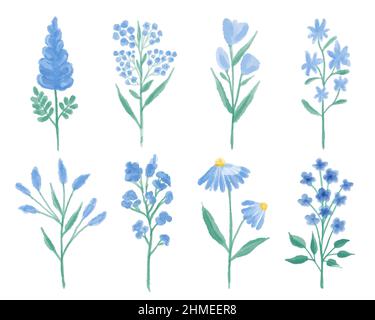 Collezione vettoriale di fiori selvatici blu dipinta a mano in acquerello. Illustrazione Vettoriale