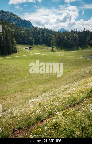 Piccola fattoria in una valle di montagna Foto Stock