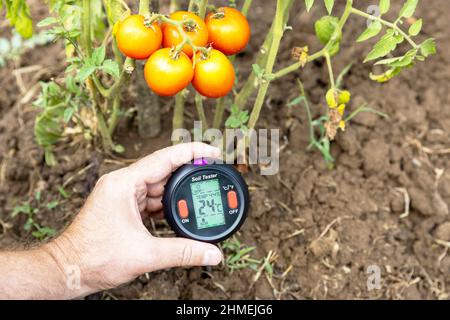 Misurazione della temperatura, del contenuto di umidità del terreno, dell'umidità ambientale e dell'illuminazione Foto Stock