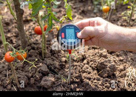 Misurazione della temperatura, del contenuto di umidità del terreno, dell'umidità ambientale e dell'illuminazione Foto Stock