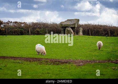 Ty Newydd camera di sepoltura, un dolmen neolitico situato vicino al villaggio di Llanfaelog sull'isola di Anglesey in Galles* Foto Stock